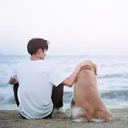 自截男头
