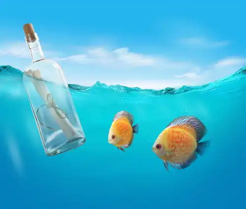 海洋生物高清图片摄影图下载至来源处
