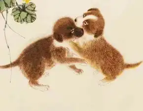 大器晚成的4生肖,稳打稳扎运势升温,拨云见日迎好运

