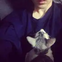 面具下的你是哭还是笑i
