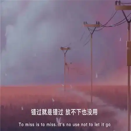 2021很丧的网易云伤感带字图片错过就是错过放不下也没用
