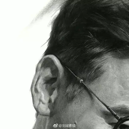 不愧是素描冷军,连李冰冰都发微博为他打call
