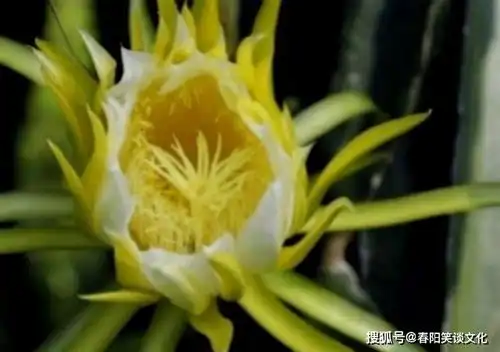 把妻子放第一位的3生肖男,对妻子大方又宠爱,女人的好选择
