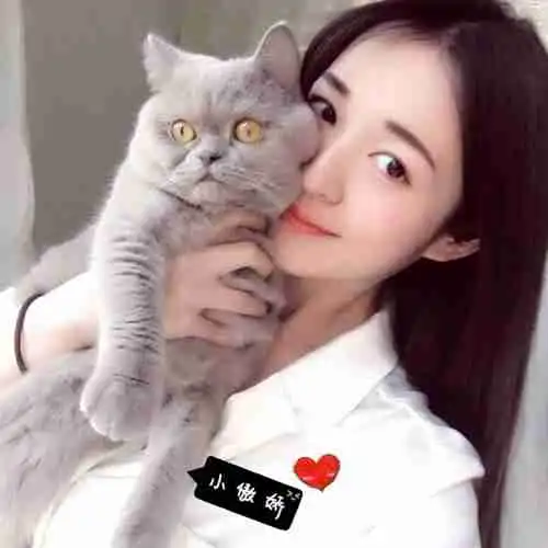 超可爱头像图片男养猫