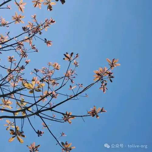 这才是春天该有的样子
