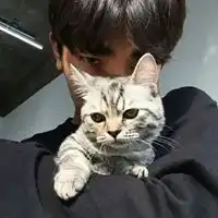 头像男猫头像男猫咪图片潮流
