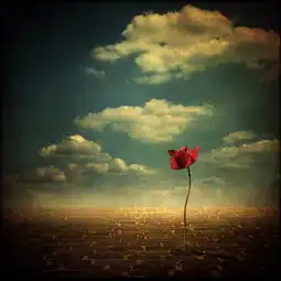 求着几张图片的高清大图
