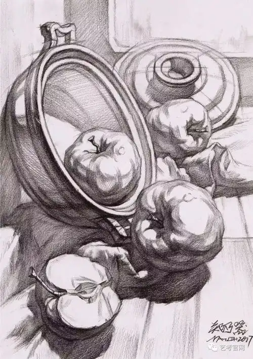 从静物到青年中年老年男女头像,高清素描结构图

