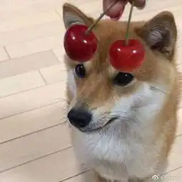 午间版男性中年危机三大特征,盘串儿出轨保温杯
