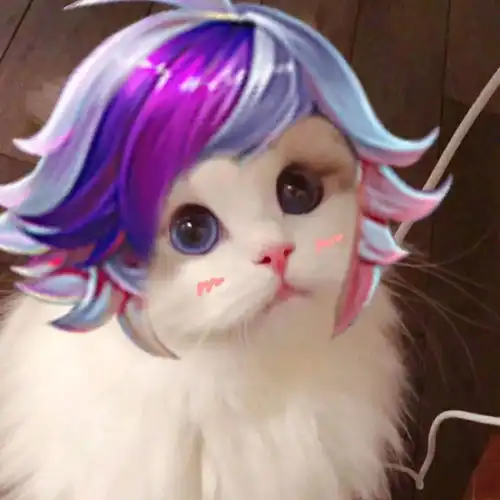王者荣耀街头猫咪
