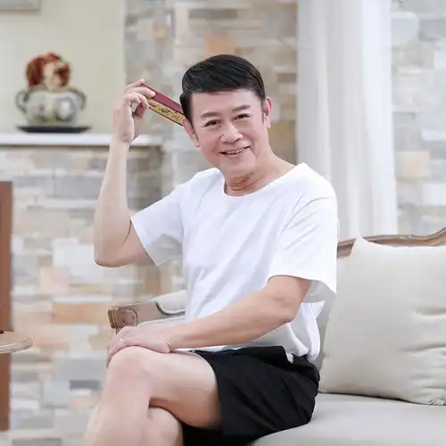 洋湖轩榭中老年夏季短袖男士纯棉汗衫白t恤爸爸装圆领纯色宽松舒适老头衫a
