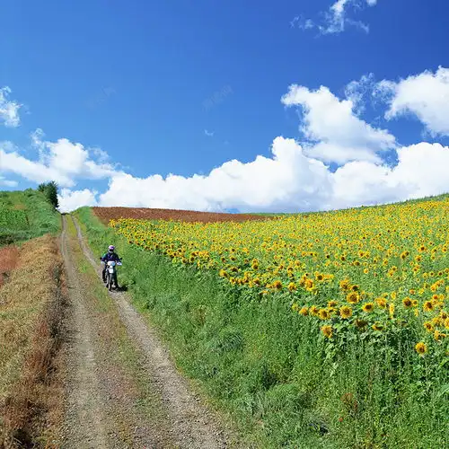 狂野上的眺望免费下载页面网页平面电商创意素材田野素材
