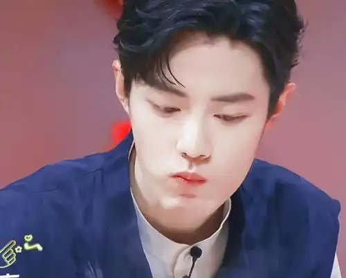 肖战发文应援那英后,当事人想邀请吃其火锅,网友的评论有端倪
