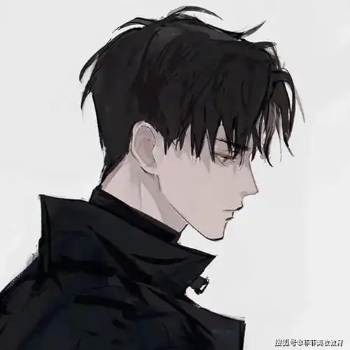 男生留什么发型好看盘点4款漫画系男友发型

