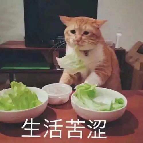 低僧的想法现在还有母胎单身干净的男孩子吗
