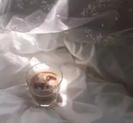 为什么你总是晚上不想睡,白天不想起生物钟奥秘