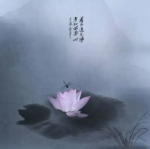 人生不强求,一切顺其自然
