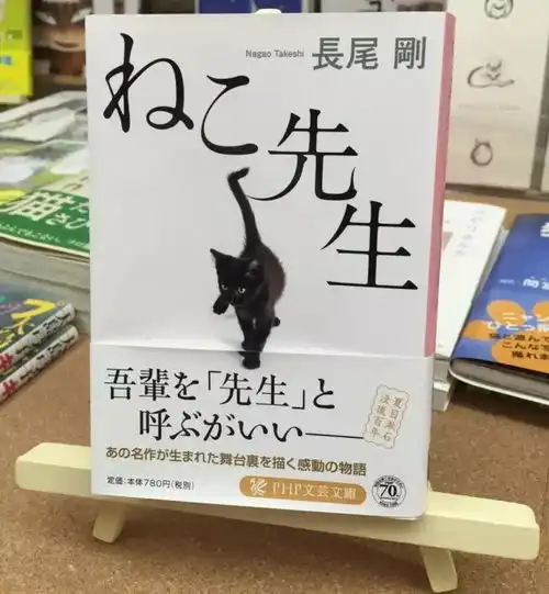 为了渣男,有人寻遍日本散尽家财
