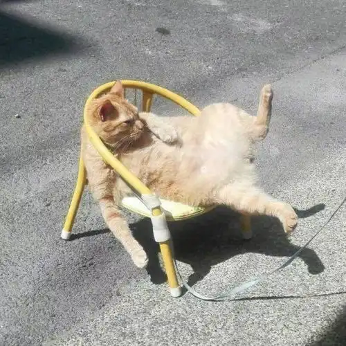 看看都有哪些让你笑到不停的逗比昵称
