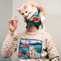 与动物有关的qq个性头像我认识的人越多就越喜欢动物图片浏览
