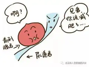 前列腺切除后还会得前列腺癌医生建议50岁以上的男性每年做一次前列腺检查
