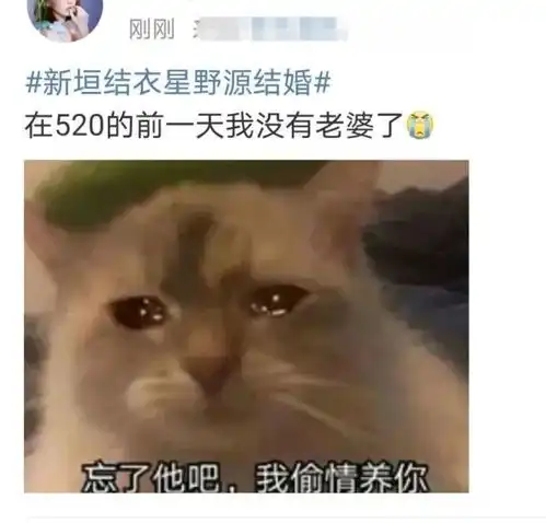 新垣结衣结婚,直男气炸我老婆没了
