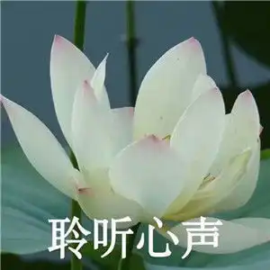 让人觉得有病的头像哈哈哈哈哈

