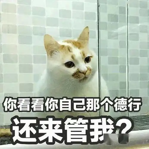 这是脏话,小猫咪不可以讲的

