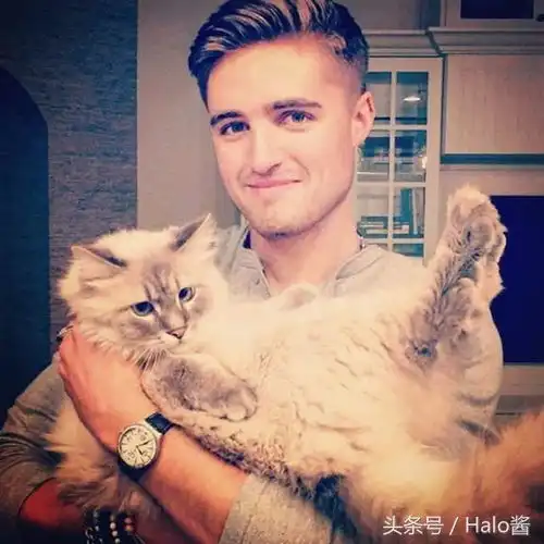 型男猫帅哥跟猫咪永远是网络人气宠儿
