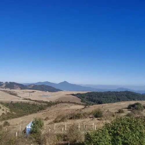 东山草原门票,东山草原游玩攻略360地图
