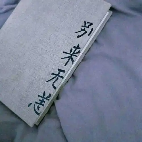 玫瑰到了花期的下一句是什么
