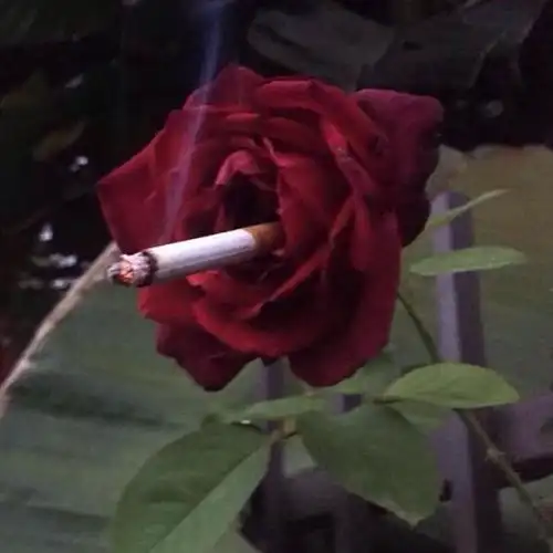 微信头像会影响第一印象吗
