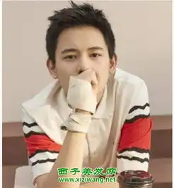 男星冬季无刘海发型设计示范男明星无刘海发型如何扎
