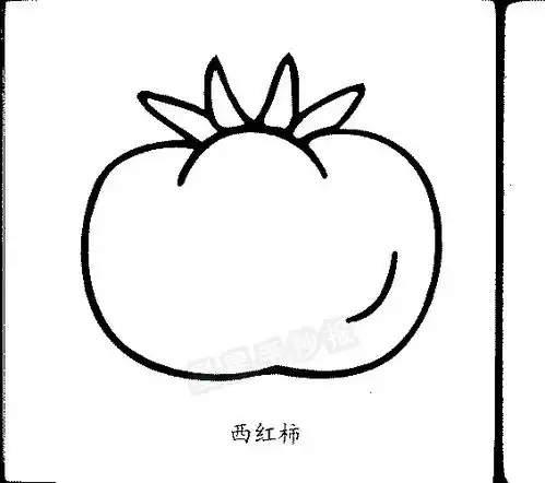 西红柿简笔画
