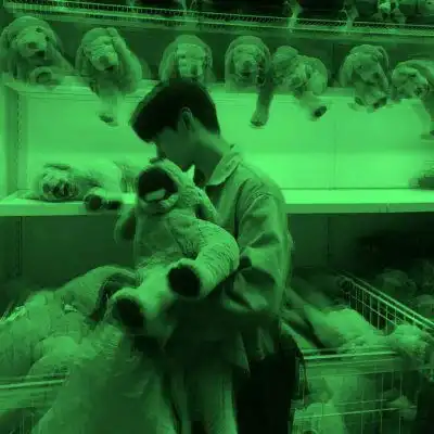 绿色头像男绿色可爱男生头像图片
