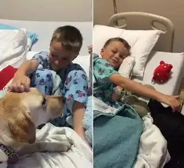 不顾嘲笑蓄2年长发为帮助患癌小朋友的小男孩,却被诊断出癌症晚期全世界都在为他加油
