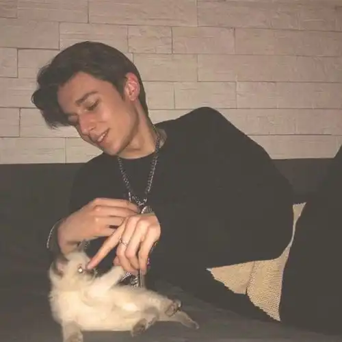 ins超酷欧美男头
