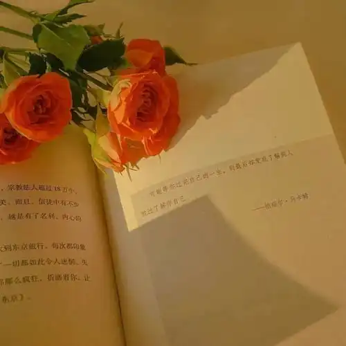 干净温柔治愈的文案句子
