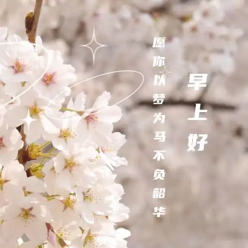 微信头像荷花并配字荷花头像带字佛系静心
