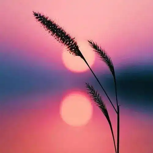 中老年头像大全成熟沧桑男人微信头像图片
