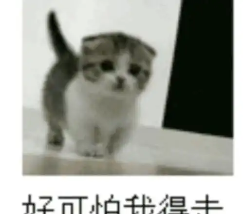 pua家暴虐猫吃软饭还出轨娄滋博才是渣男的集大成者
