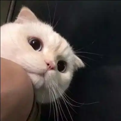 彭哥的博客菁优网
