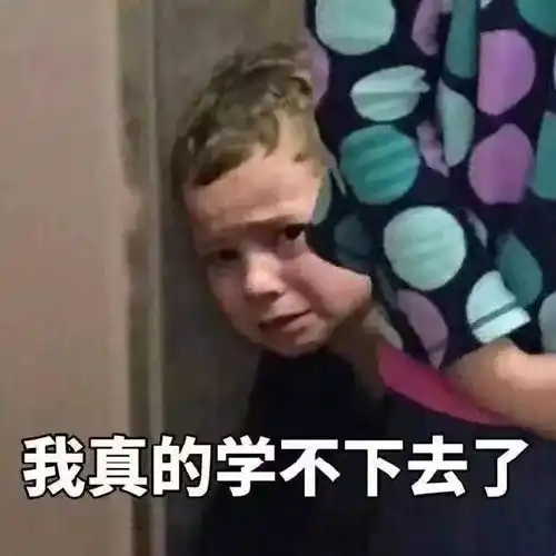 表情sir穷逼互看
