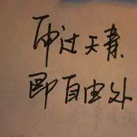 狗狗头像搞笑哈士奇微信头像图片大全
