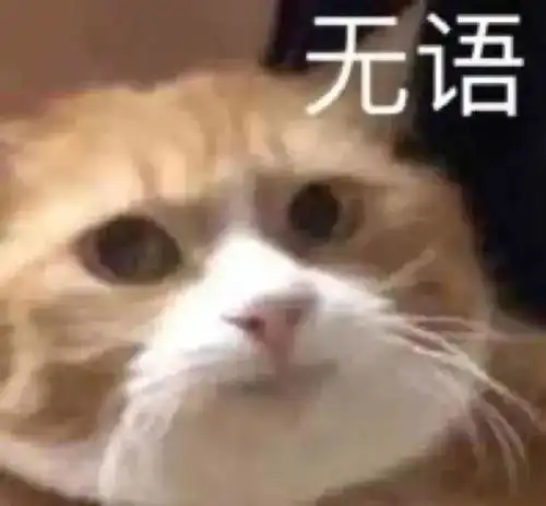 不满意老家的相亲对象,但家里人又对他很满意,我该怎么办

