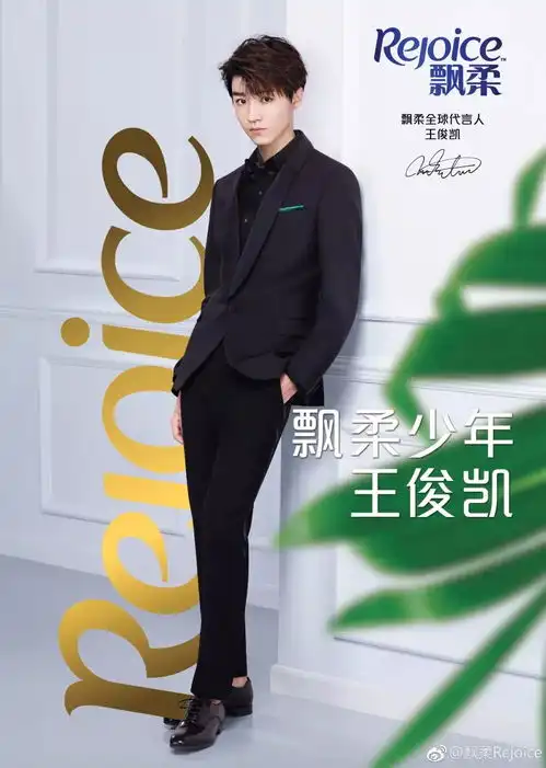 19岁的人生赢家王俊凯让人脸红心跳的总裁少年养成记

