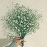 短发手捧满天星女孩图片微信头像图片大全
