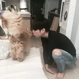 头像男抱猫头像