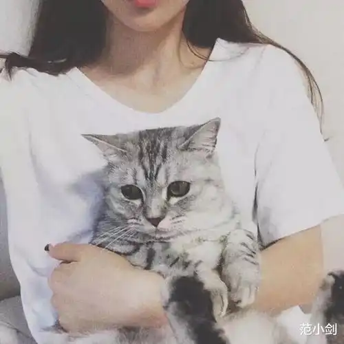 头像男抱猫张艺兴