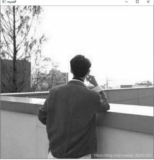 基于jupyternotebook的python编程通过python编程,利用opencvpython对图像进行处理
